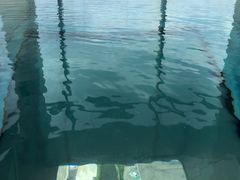-上海浦东康桥绿地假日酒店