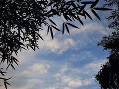 -太行锡崖沟旅游度假区