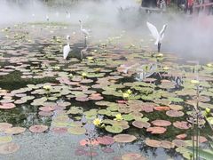 -广州莲花山旅游区