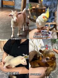 -Zoolung Zoolung动物主题公园(海信广场店)