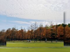 -宜兴龙背山森林公园