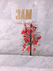 -3AM HAIR SALON染发接发