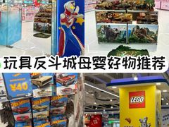 -TOYSRUS玩具反斗城(苏州中心店)