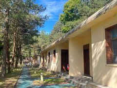 -海南热带雨林国家公园吊罗山景区