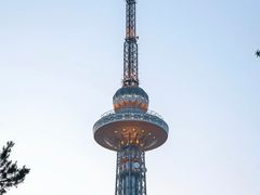 -龙塔