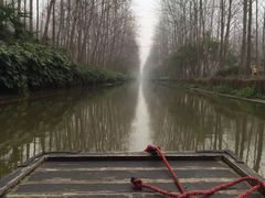 -合肥滨湖国家森林公园