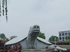 -东方巨龟苑景区
