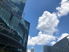 -新天世纪中餐厅