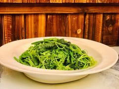 清炒丝瓜尖-中国徽菜·徽商故里(远大店)