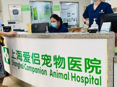 -爱侣宠医·鹦鹉专科·小型哺乳类·异宠专科(灵石路店)