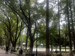 -苏州大学(天赐庄校区)