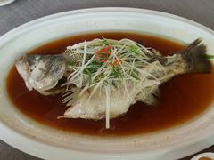 -有喜胶东小馆(太申祥和店)