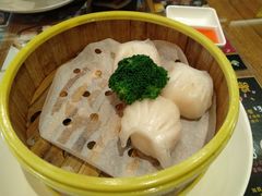水晶鲜虾饺-香港新曜记茶餐厅(星耀城店)