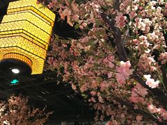 -绿茶餐厅(昌平悦荟店)