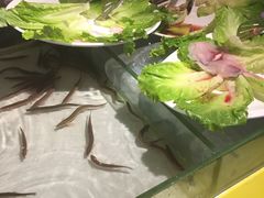 -海吃海喝海鲜烤肉餐厅