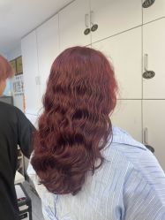 -镁连社·美联社