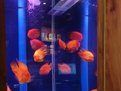 -小吊梨汤·北京菜·烤鸭(清河万象汇店)