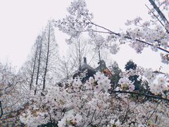 -鸡鸣寺