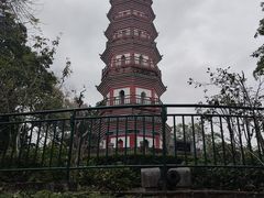 -中山公园(石岐街道)