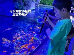 -左海海底世界