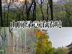 -金陵图书馆