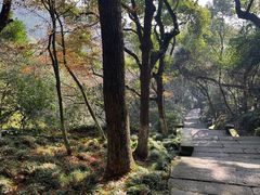 -宁波市保国寺古建筑博物馆