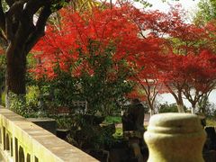 -上海交通大学(闵行校区)