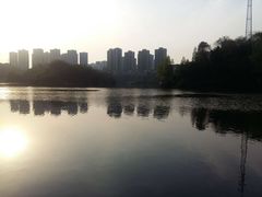 -重庆彩云湖湿地公园
