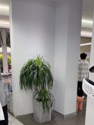 -D.G造型·烫发染发接发
