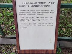 -普乐寺