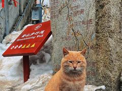 -终南山南五台景区