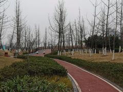 -府河摄影公园