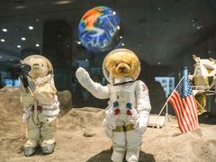 -济州岛泰迪熊博物馆