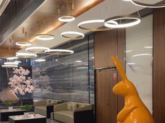 -大和洗浴休闲会所(宏大广场店)