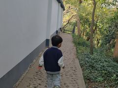 -上海佘山国家森林公园天马山园