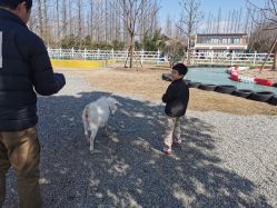 -前小桔亲子创意农场·草莓采摘·露营烧烤