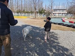 -前小桔亲子创意农场·草莓采摘·露营烧烤