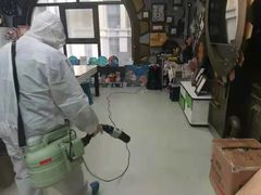 -杨梅红艺术教育(凤城教学中心)