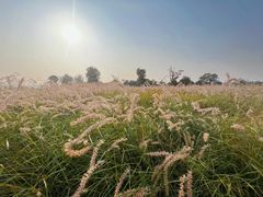 -汉长安城未央宫国家考古遗址公园