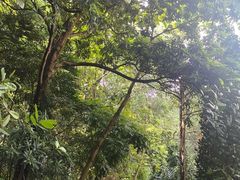 -巴拉湾海滩