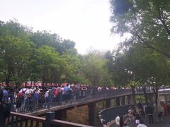 -石家庄市动物园