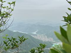 -午潮山国家森林公园