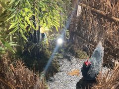 -洞庭土菜馆(天河北总店)