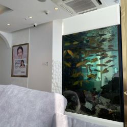 -沁科妍医疗美容·半岛黄金超声炮战略合作机构