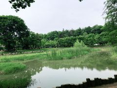 -青龙山国家森林公园