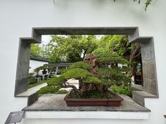 -上海植物园-4号门售票处