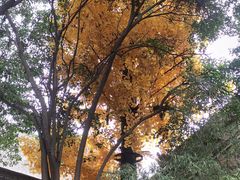 -西安市广仁寺
