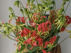 -花邻FloweringLife花艺气球派对(武康大楼店)