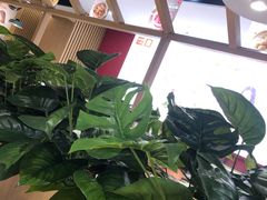 -嘉和一品(新辰天地大兴南区店)