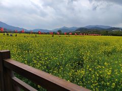 -古田会议纪念馆